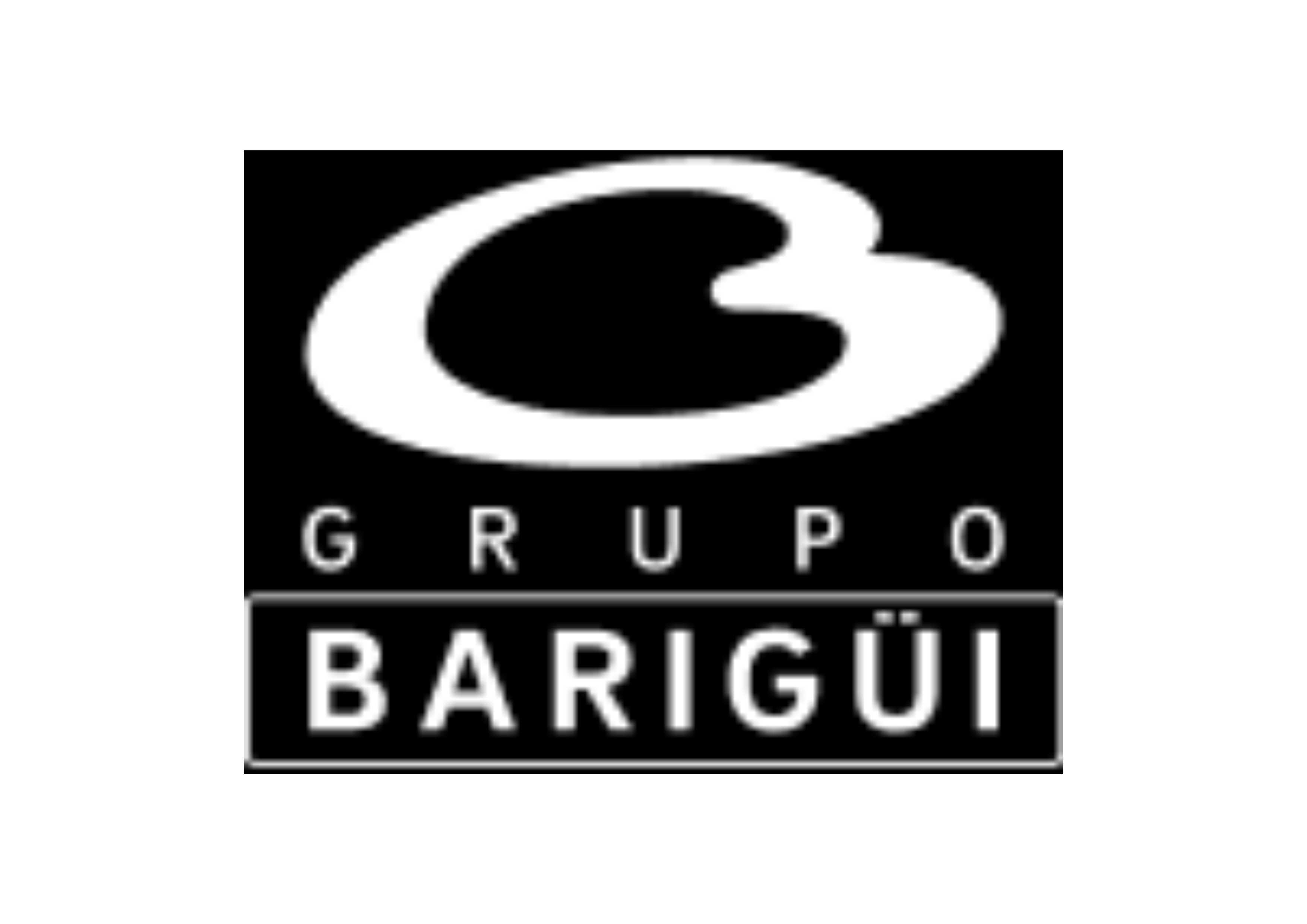 3GRUPO BARIGUI